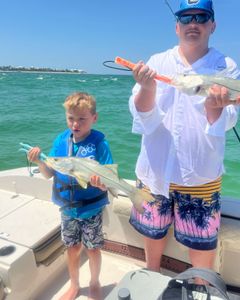 Two Snook fish caught in Florida