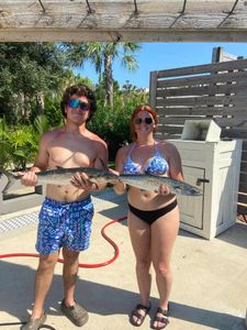 A big fish caught in AL