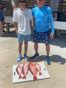Four grey snapper caught while fishing at Orange Beach