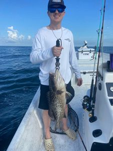 Gag grouper caught in AL