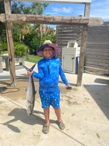 King Mackerel fishing at Orange Beach