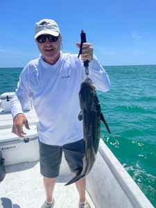 Angler holding caught fish on boat in Orange Beach AL waters