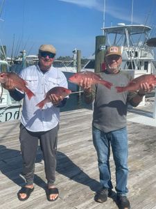 Fresh red snapper catch displayed at Orange Beach AL fishing marina