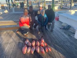 Group of anglers displaying their catch of red snapper on fishing charter boat deck in Orange Beach AL
