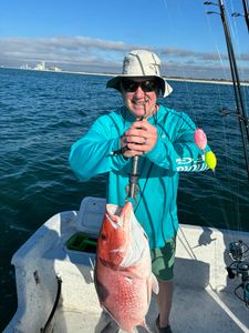 Red snapper caught fishing in Orange Beach AL on boat deck