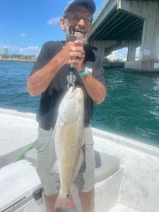 Redfish caught while fishing in Orange Beach Alabama