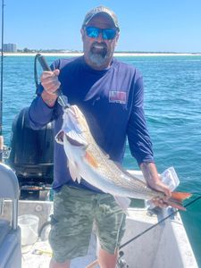 Redfish catch displayed on fishing boat in Orange Beach AL waters