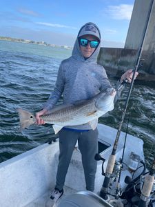 Redfish caught while fishing in Orange Beach AL on boat