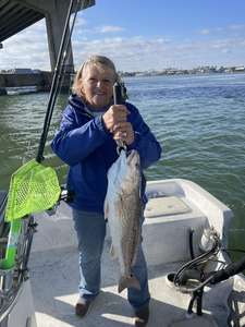 Orange Beach redfish hauled in on light tackle!