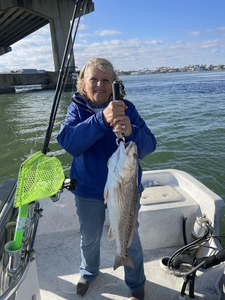 Orange Beach redfish success with light tackle!