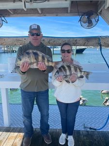 Two sheepshead fish caught while fishing in Orange Beach AL