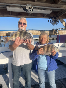 Double sheepshead success in Orange Beach!