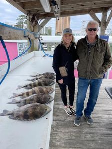 Fresh caught sheepshead fish displayed on fishing boat dock in Orange Beach Alabama