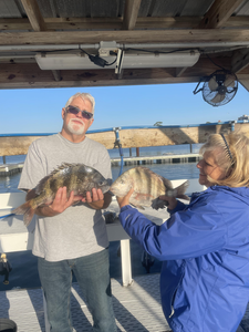 Orange Beach sheepshead on light tackle!