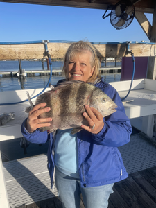 Orange Beach sheepshead on light tackle!
