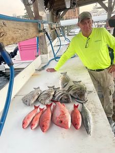 Fresh caught red snapper and Spanish mackerel displayed on fishing boat deck in Orange Beach Alabama