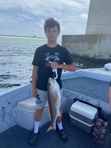 Redfish caught while fishing in Orange Beach