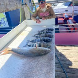 Redfish caught while fishing in AL