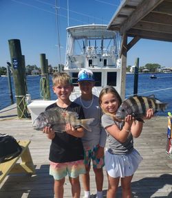 Two sheepshead fish caught while fishing in Alabama