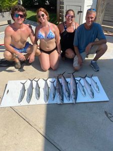 5 Spanish Mackerel fish caught in Orange Beach