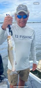 Spotted Weakfish caught while fishing in Orange Beach