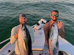 Good Thing's Blackfin Tuna catch in Destin!