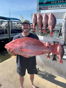 6 grey snapper fish caught by angler in FL