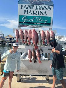 8 fish caught in FL during fishing trip
