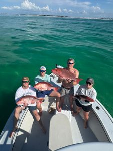 3 big fish caught while fishing in FL