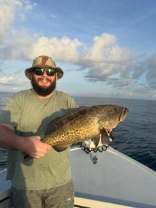 A gag grouper fish caught while fishing in FL