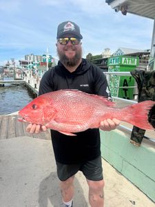 Red snapper catch displayed at fishing dock in Destin Florida