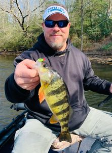 Lone angler fishing in Trappe