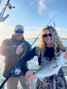 Striped bass caught in MD