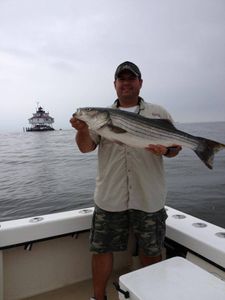 Striped bass caught by angler in Maryland