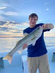 Striped bass caught in Trappe