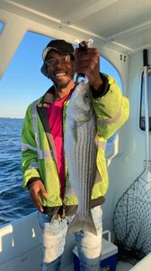 Striped bass caught while fishing in Trappe