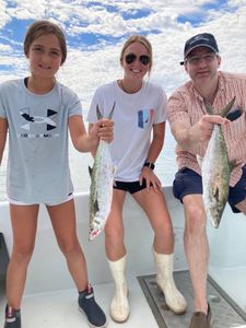 Two king mackerel, 13 inches, fishing in Trappe