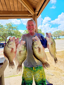 4 crappie fish caught in TX