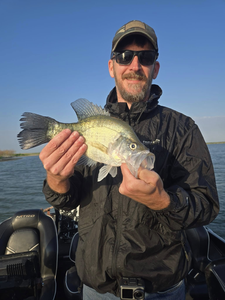 Crappie fish caught by angler in San Antonio