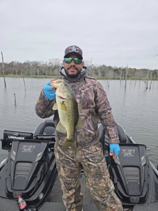 A Florida Bass, a 17-inch freshwater fish, caught while fishing in San Antonio.