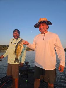 Largemouth bass caught while fishing in TX