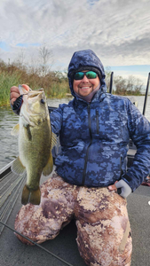 Largemouth bass caught fishing in San Antonio