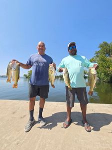Largemouth Bass caught during fishing trip in San Antonio