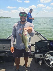 Largemouth Bass caught in TX