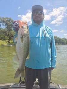 Largemouth bass fishing in TX