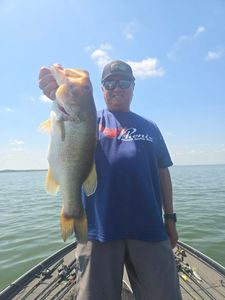 Largemouth bass caught in TX