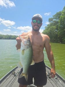 Largemouth Bass caught while fishing in TX