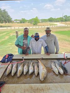 Redfish, a thrilling catch in San Antonio