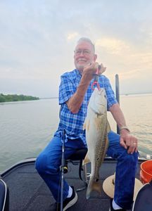 Redfish caught while fishing in San Antonio