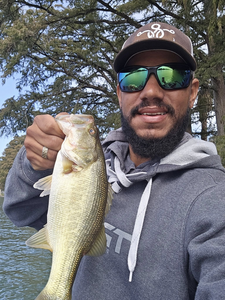 Spotted bass caught while fishing in San Antonio